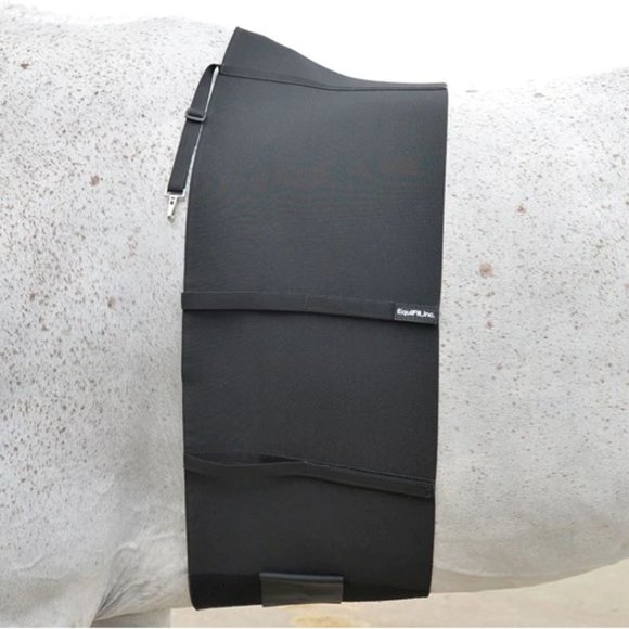 Equifit Other - Equifit Equine Belly Band- Used only once!